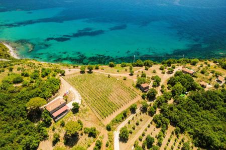 Vista panoramica dall’alto dell’agriturismo Le Terre di Venere sul mare cristallino del Cilento.